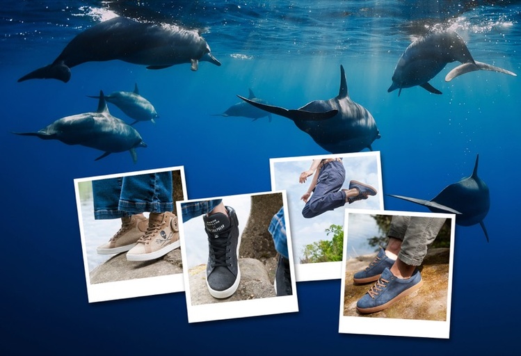 Offre Éco-responsable