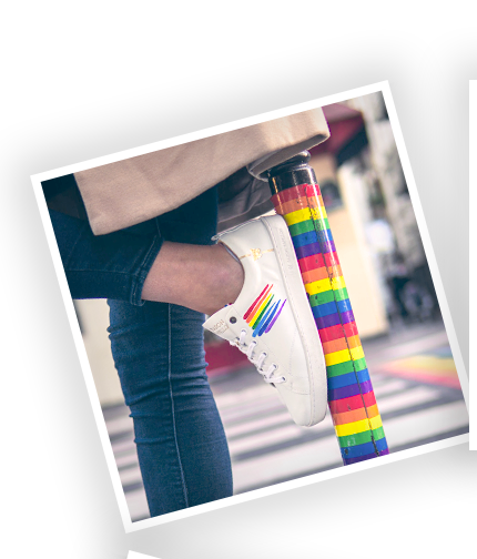 Sneaker Baron Papillon Basse Rainbow