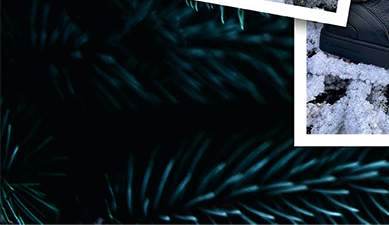 Sneaker Baron Papillon Basse Papillon par Quibe